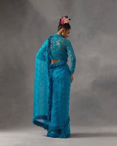 Blazing Love Sari Set